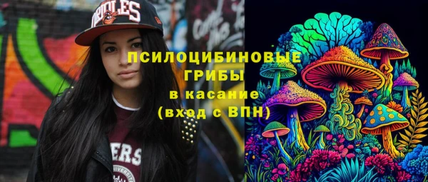 винт Осинники