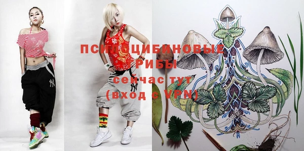 эйфоретик Осташков
