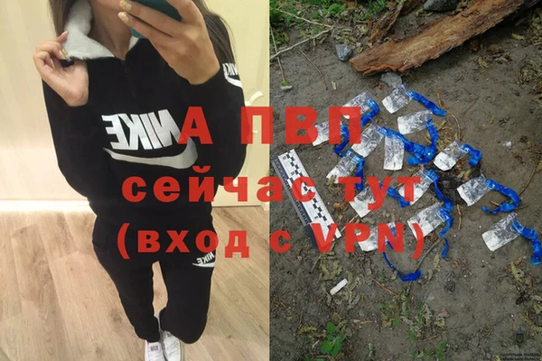 эйфоретик Осташков